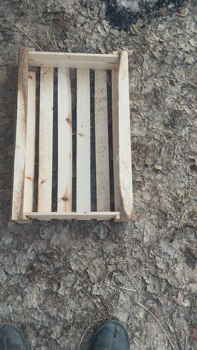 Pamidor yashila har xil razmerla bor