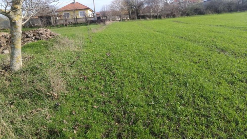 Добре разположен регулиран парцел (2000 кв.м.) на 30 км от гр. Шумен – отлична възможност за тези, които търсят място, където да построят своя нов дом