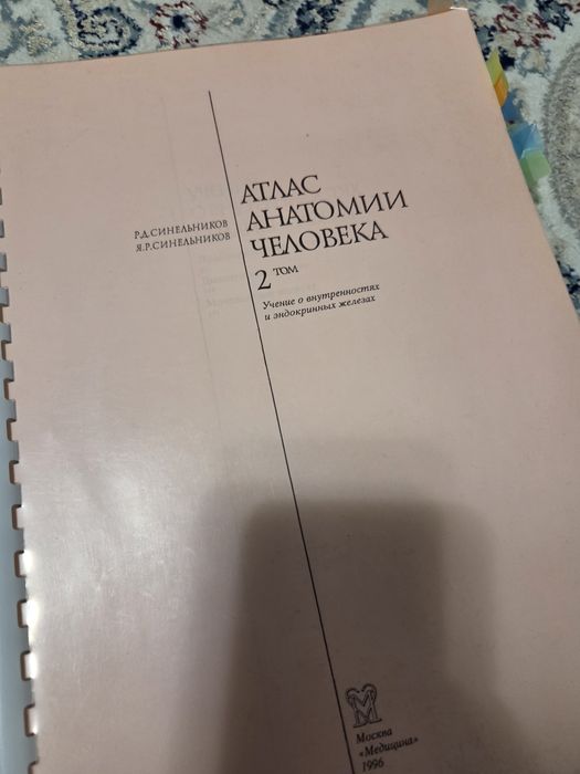 Анатомия Синельникова