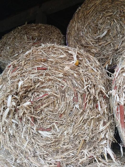 Чаревичак големи ролки доставяме в цялата страна