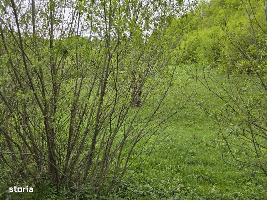 Teren extravilan in suprafata de 3.100 mp. situat pe Transapuseana-Pon