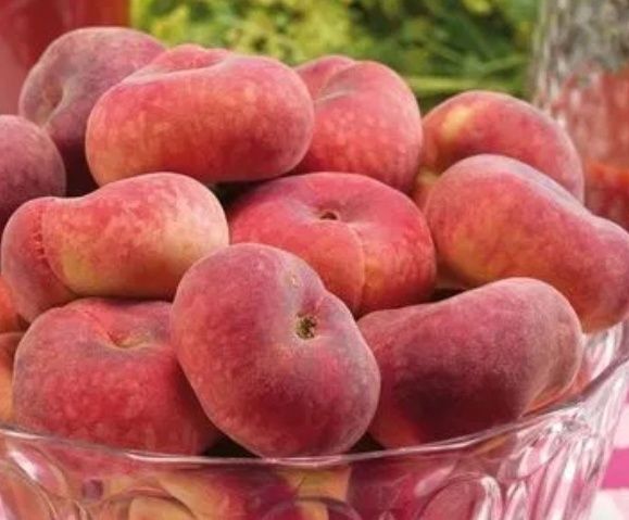 Piersic (Soiul Plat Platicarp )