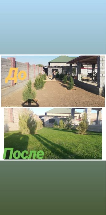 Автополив и Газон