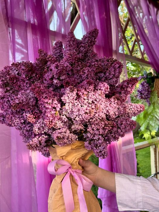 Сирень Букет алматы