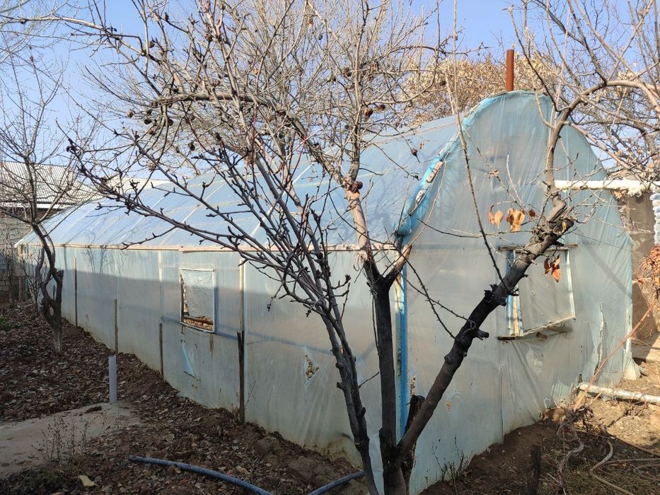 Tayyor issiqxona Sotuvda