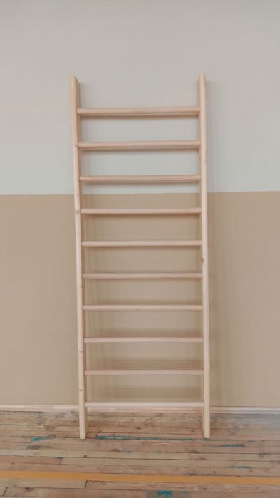 Шведская спортивная стенка