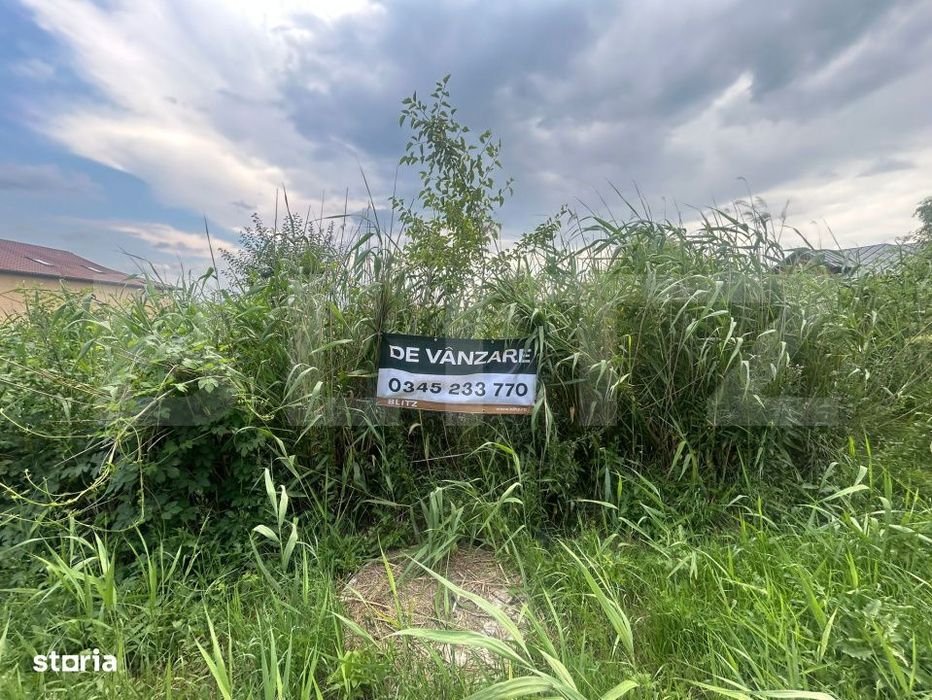 Teren pentru casa – 775 mp, deschidere 20,66 m la DN72 – Valea Voi