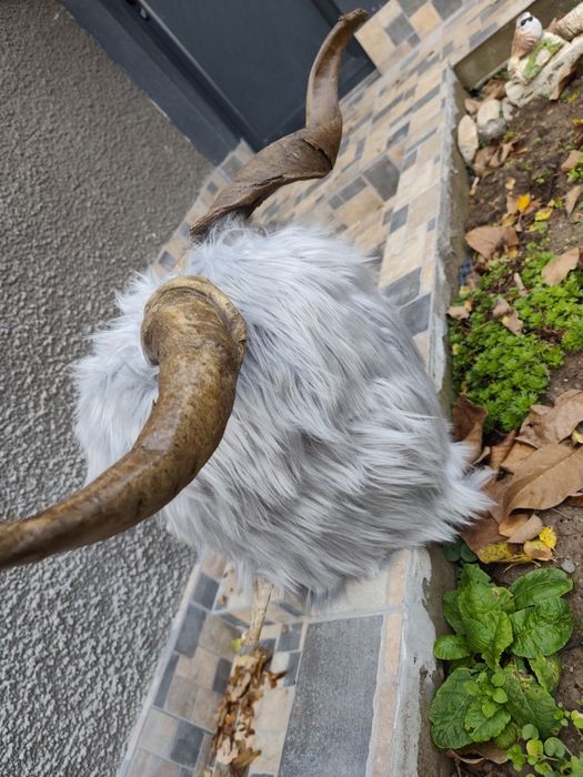 Кукерска   маска