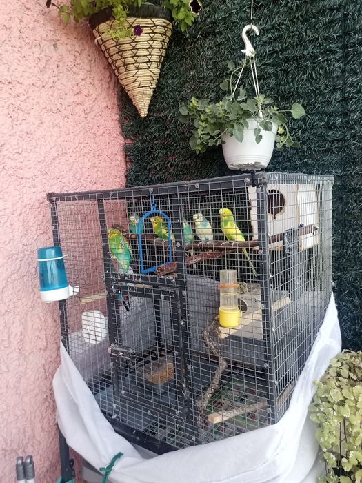 Изработвам ,клетка кафез за птици и животни.