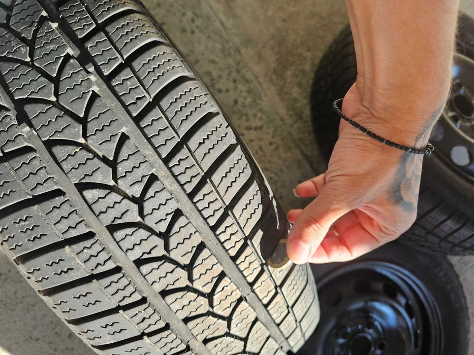 Зимни гуми 195 65 R15