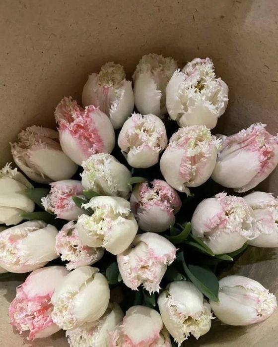 Тюльпаны оптом на заказ