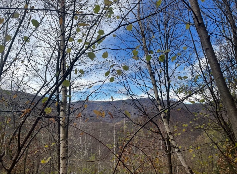 Teren Intravilan 1415 mp, Muntele rece, accept plata 2 rate, pt cabana