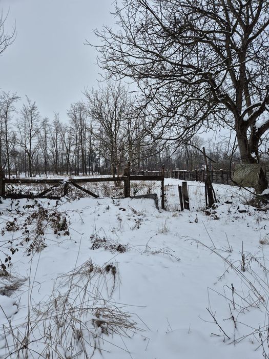 Casă spațioasă de vânzare în Porumbacu de Jos