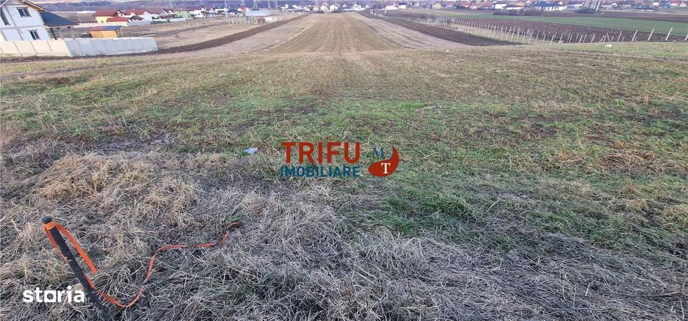 Teren de vanzare zona Barabant