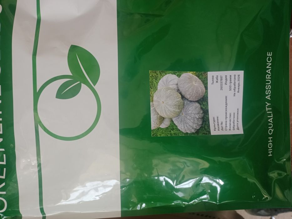 Продам Семена тыквы жаба