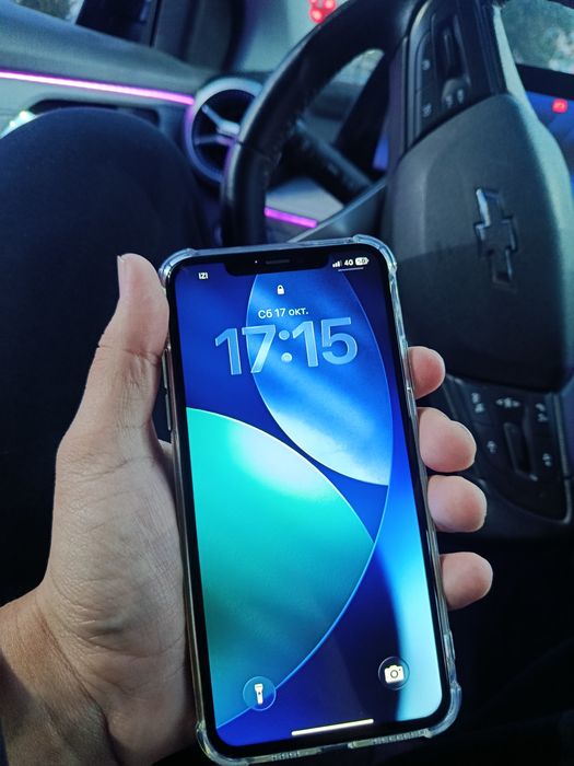 iPhone 11 pro max 256 GB 100%