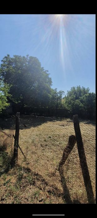 Casa Verbita+Livada de Pruni