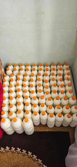 Продам натуральный кумыс