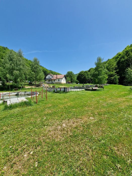 LANGA BRAȘOV, casa de vacanță, PĂSTRĂVĂRIE,iaz cu pești, CASUTA cu ter