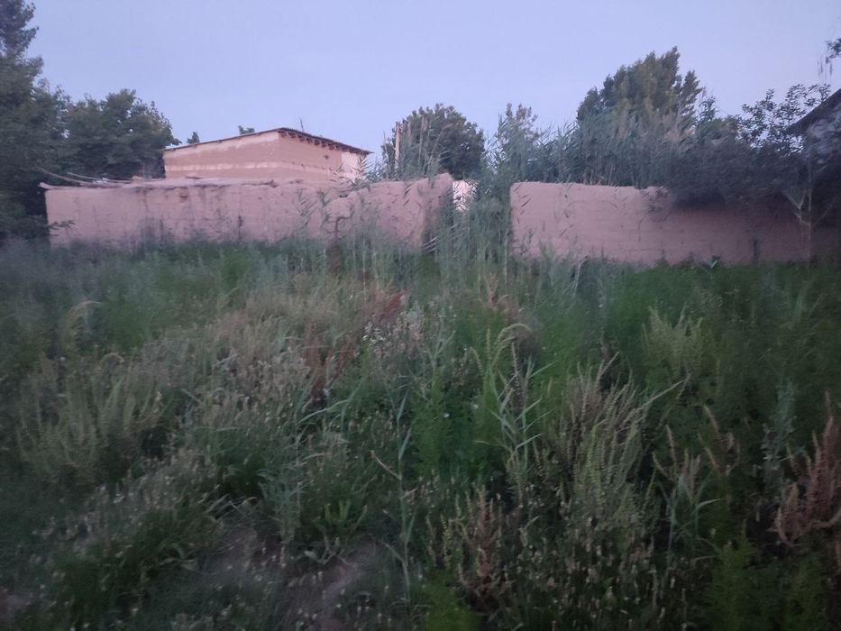 Продаётся участок "Срочно" город Навои Навоинская область 6 соток дача