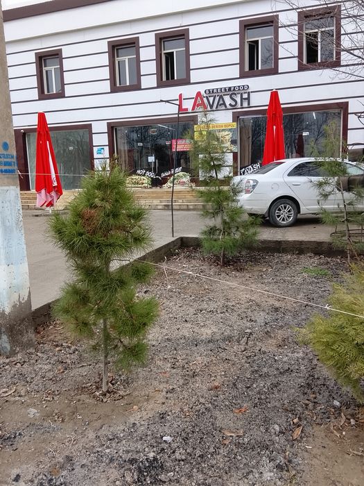 Сотилади Минск 125 с