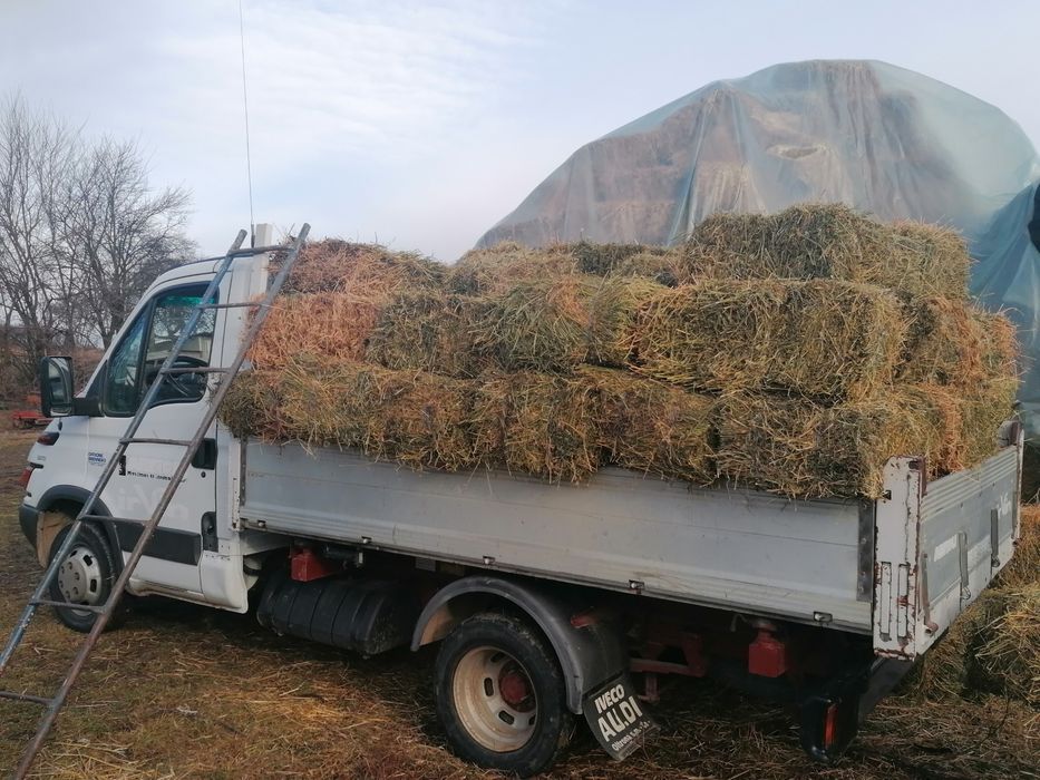 baloti , fîn 20. ron, , ghizdei 25  ron ofer transport