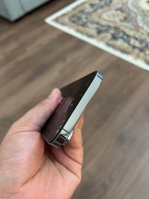 IPhone 13 Pro Max (512 gb)