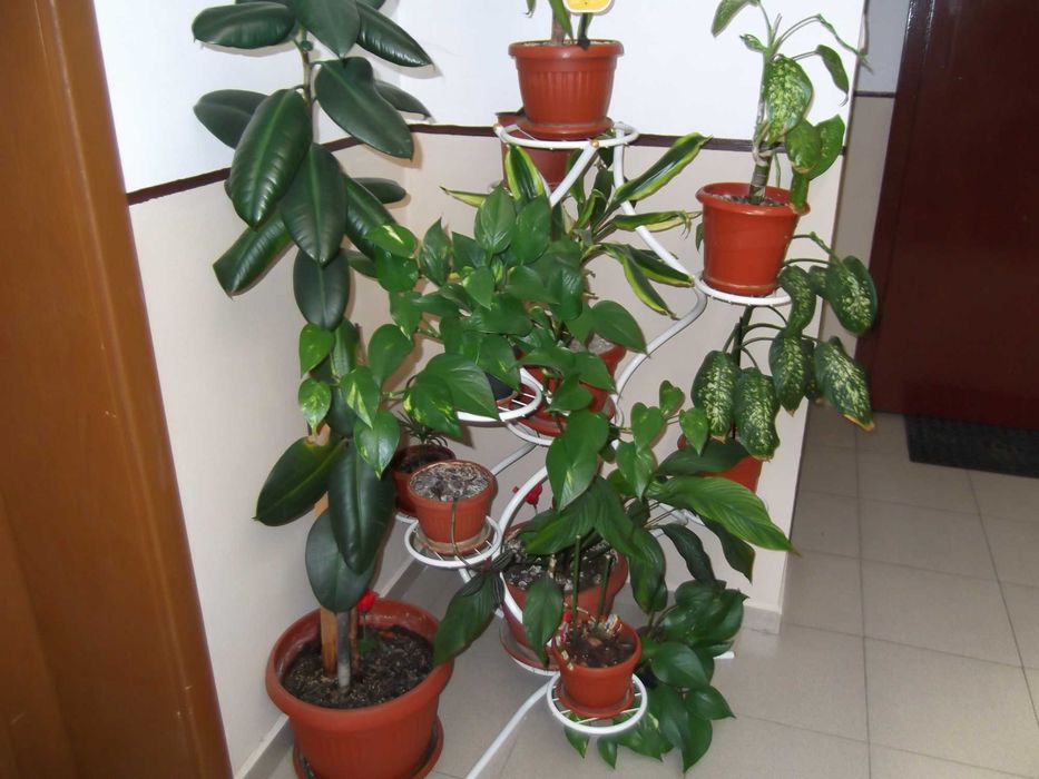 Fujifilm Finepix T350 14 MPx