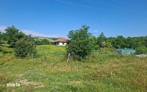 Casa si teren Scortoasa, ID: R3312098