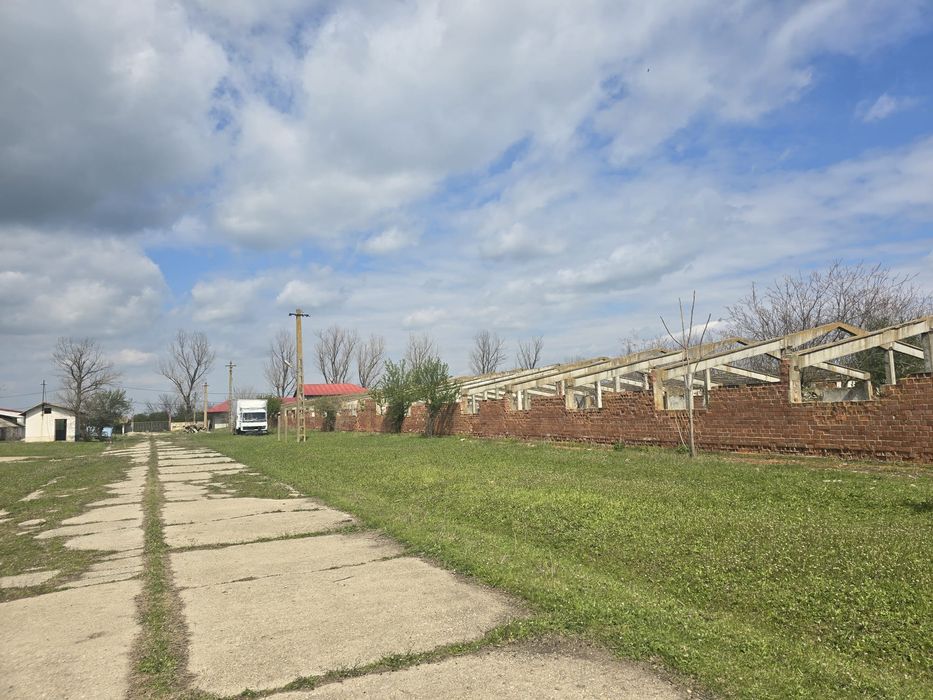 FERMA cu teren de 25 ha de vanzare loc Izvoarele jud GIURGIU