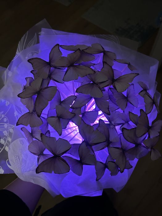Букет из бабочек