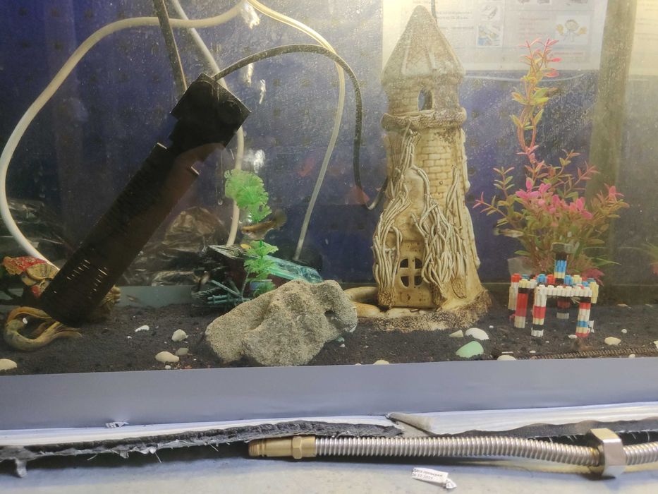 Аквариум с рыбками