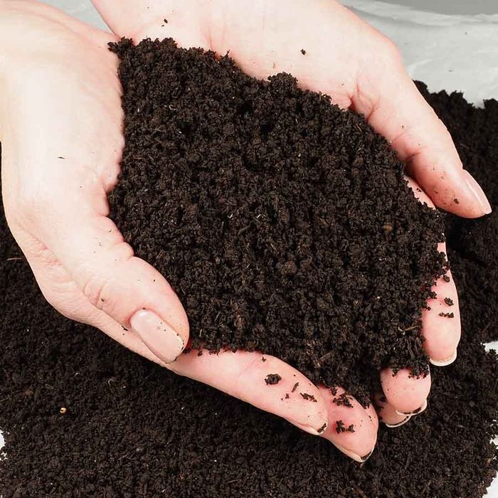 Kaliforniya Qizil yomg'ir chuvalchanglari