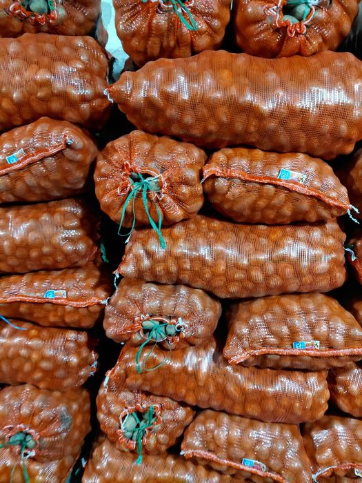 Семенной картофель 120тг