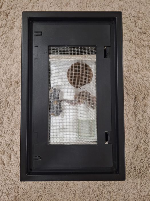 Самец Эублефар вместе с террариумом