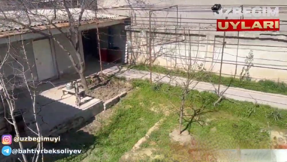 Arzon yer Toshkent shahridan!