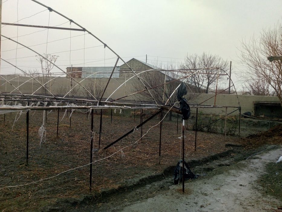 Теплиса сотилади