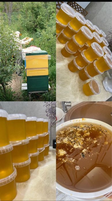 Продаем мед с собственной пасеки