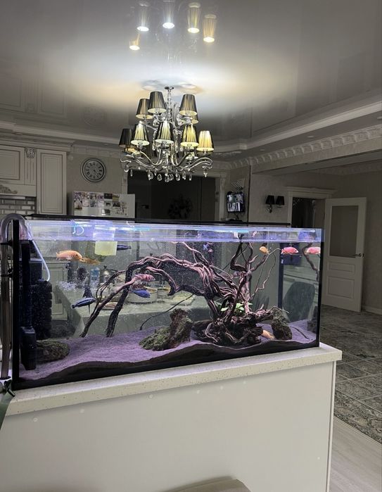 Аавариум 320 литр