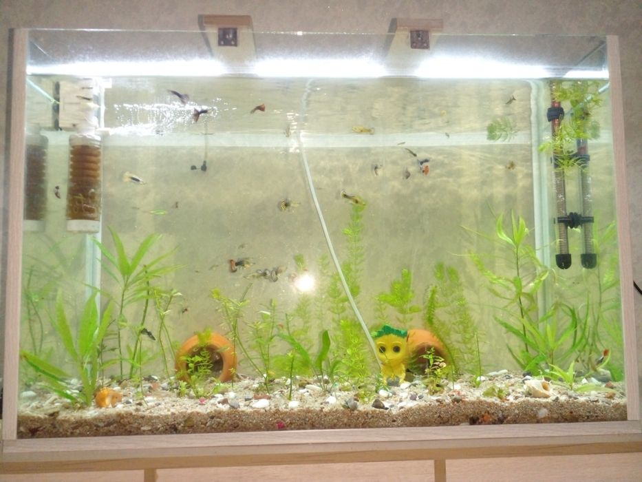 Мебил аквариум баликлар опши