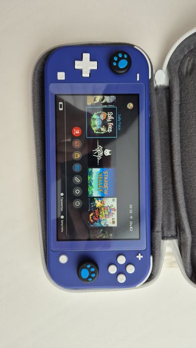 Nintendo switch lite чипованная
