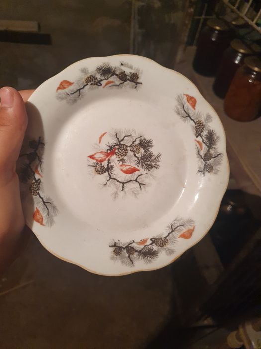 Тарелки использованно не много