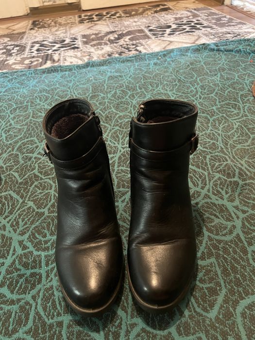 Qishgi sapok va tapıchkalar xıtoy arginal