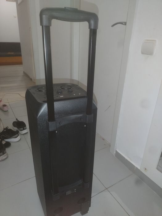 Boxă pstps53, gen trolar