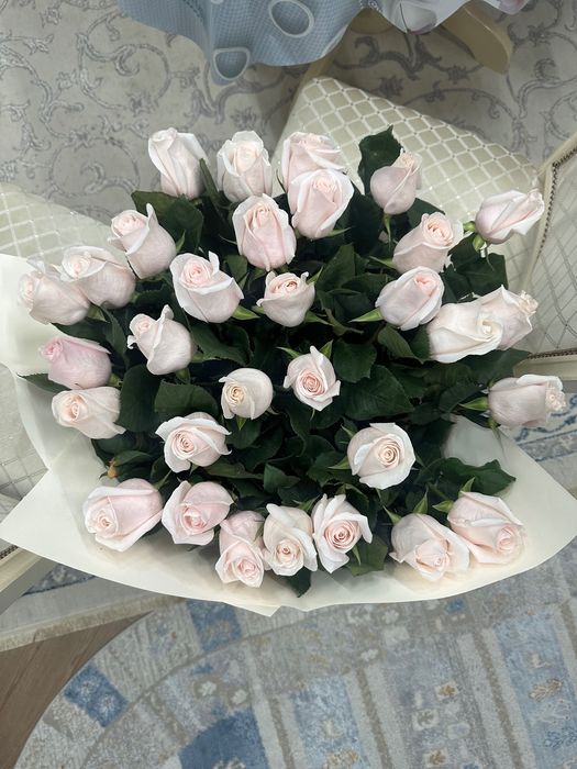 Цветы новые свежие