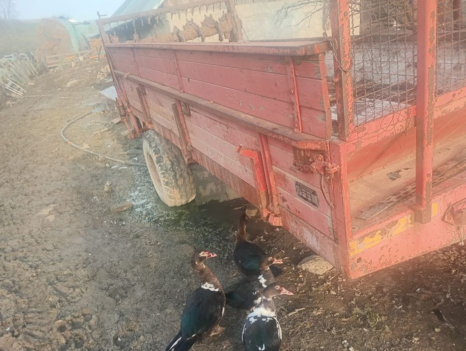 Vând mig perfect funcțional