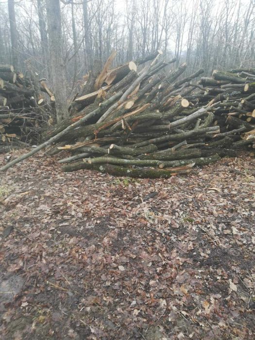 Lemne de foc - esență tare