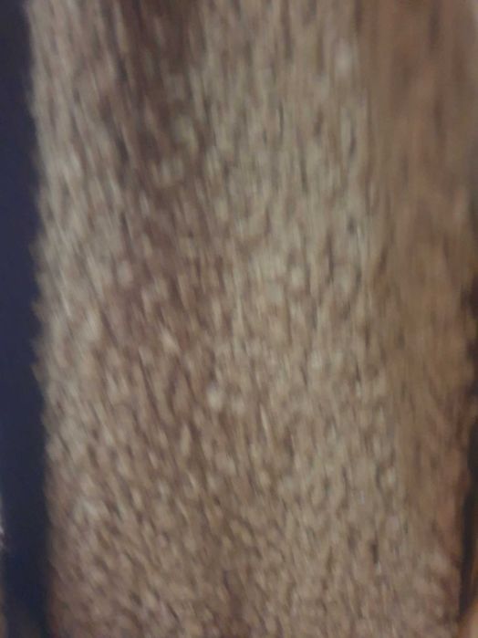 Дамско палто Teddy