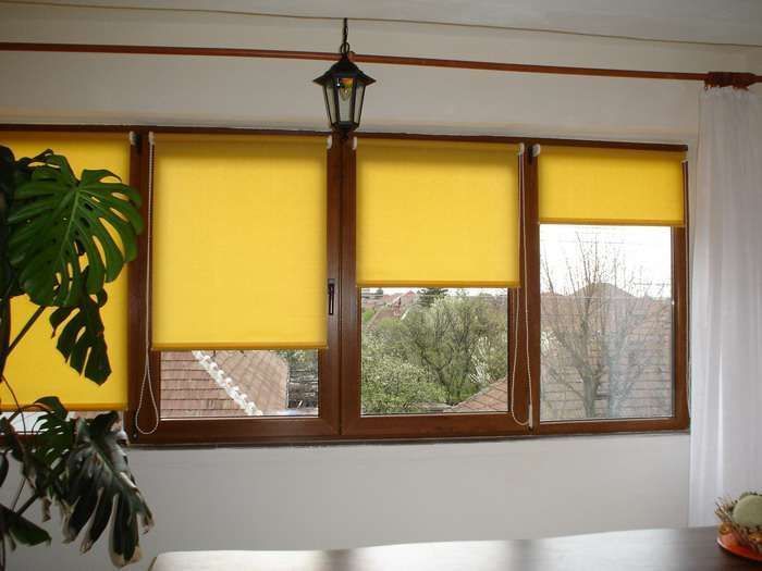 Rulouri și jaluzele! Rulouri zi noapte, ZEBRE! Paneluri.Plase insecte.