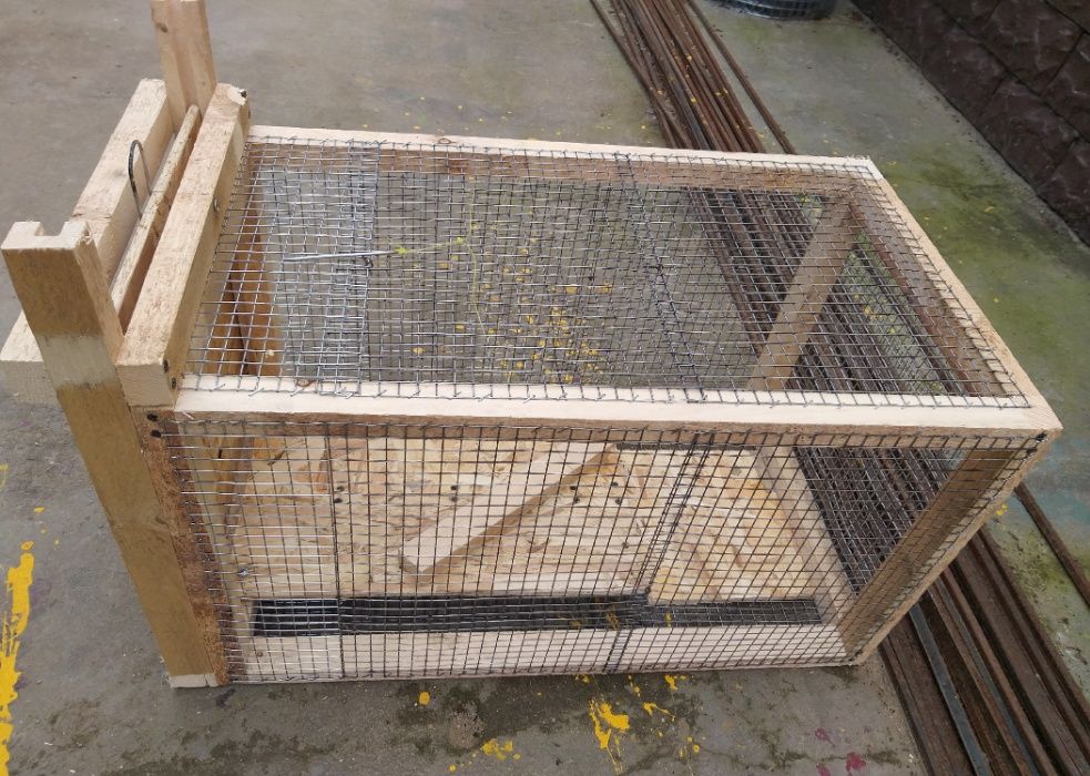 ловушка для фазана